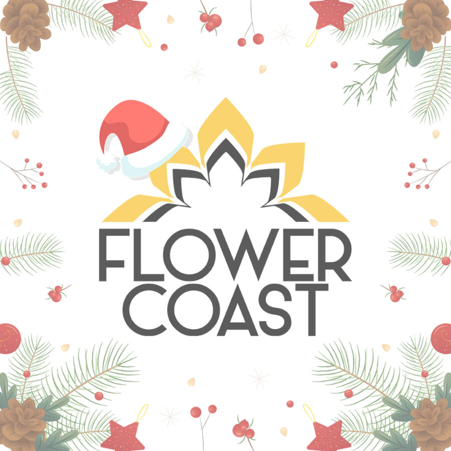 🎄 Les offres de Noël sur notre boutique