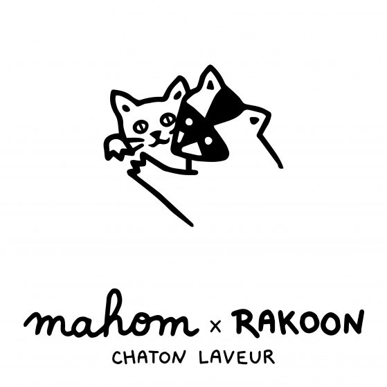Chaton laveur